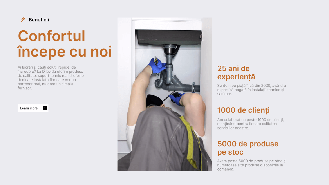 dilevida-website-3