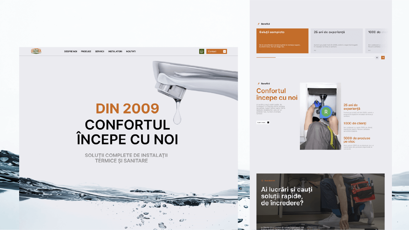 dilevida-website-1